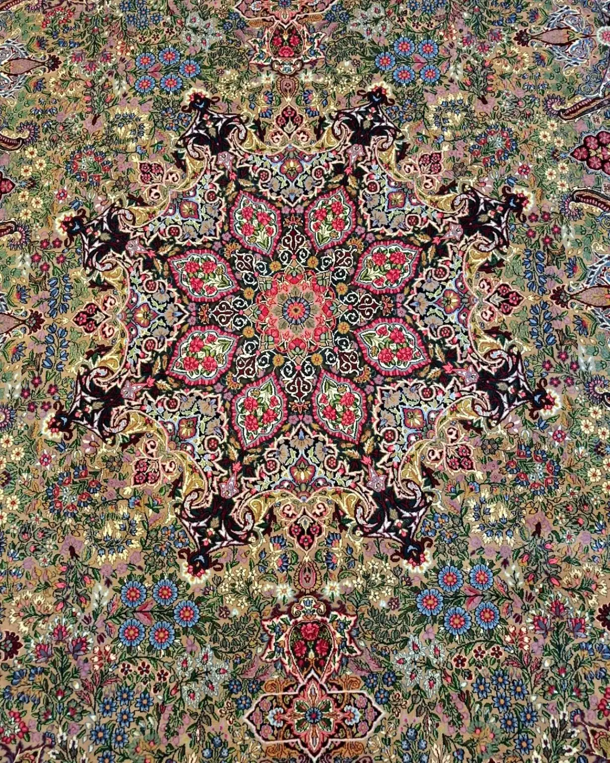 Regal Blossom Constellation — complete view